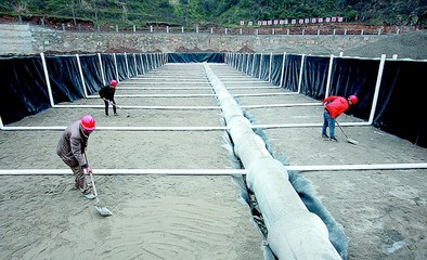 犟河黃龍人工濕地預(yù)計(jì)年底可投入運(yùn)行