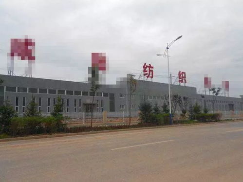 金寨一紡織工業園獲環保批準 開工建設后將解決五千人就業