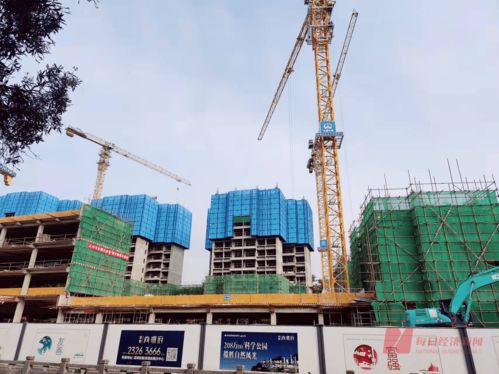 353套房源10天僅認購1套 每經實探深圳2022年首個新盤 周邊基礎配套薄弱,價格比附近樓盤高近5000元