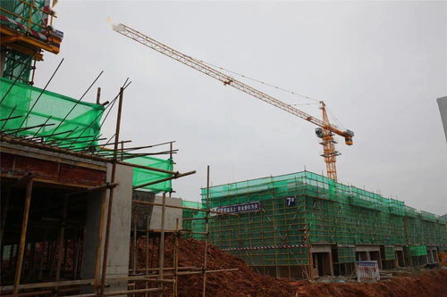圍觀 兩代表一委員 現場督查重點項目建設